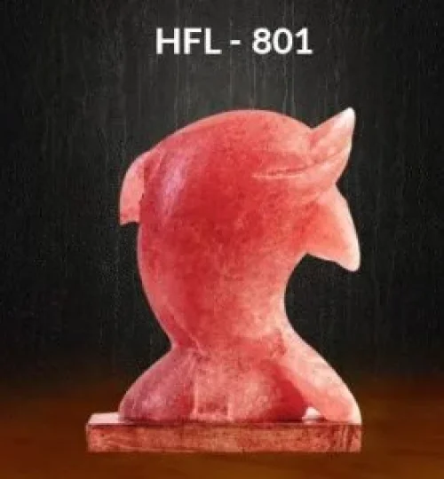 Salt-Lamp-HFL801-humalayan-pinksalt-300x300