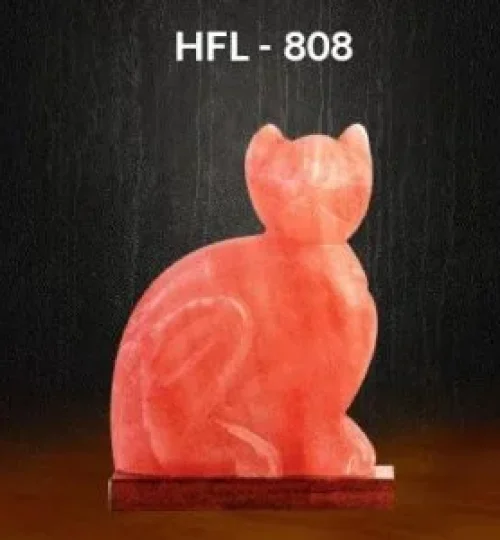 Salt-Lamp-HFL808-humalayan-pinksalt-300x300